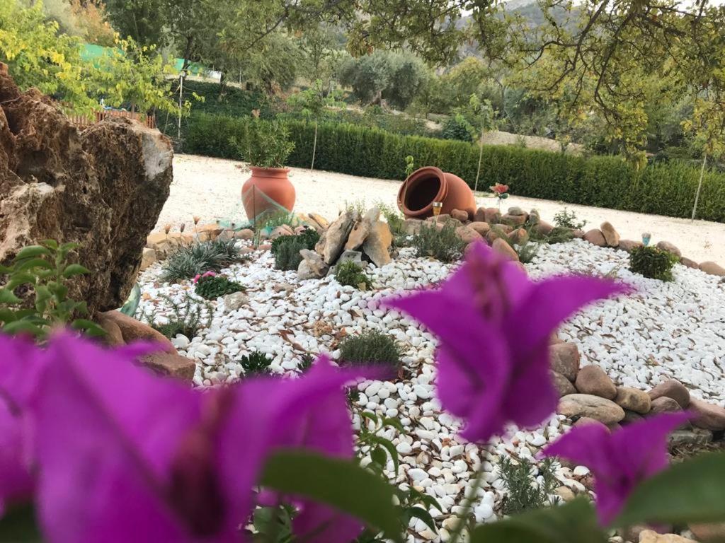 לה אירואלה Alojamiento Rural Casa Fuente Del Prado מראה חיצוני תמונה